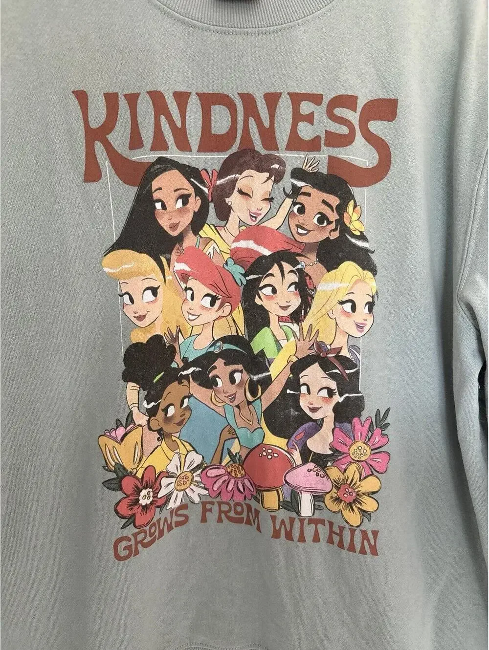 Disney princess graphic